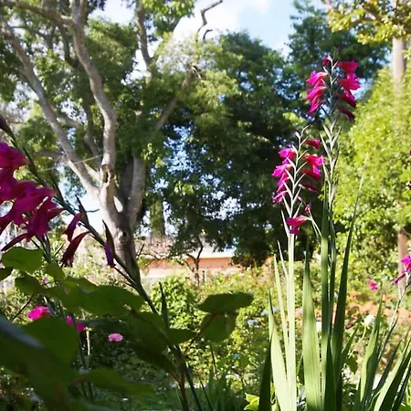Garden House In Corfu Villa Corfu  Exterior photo
