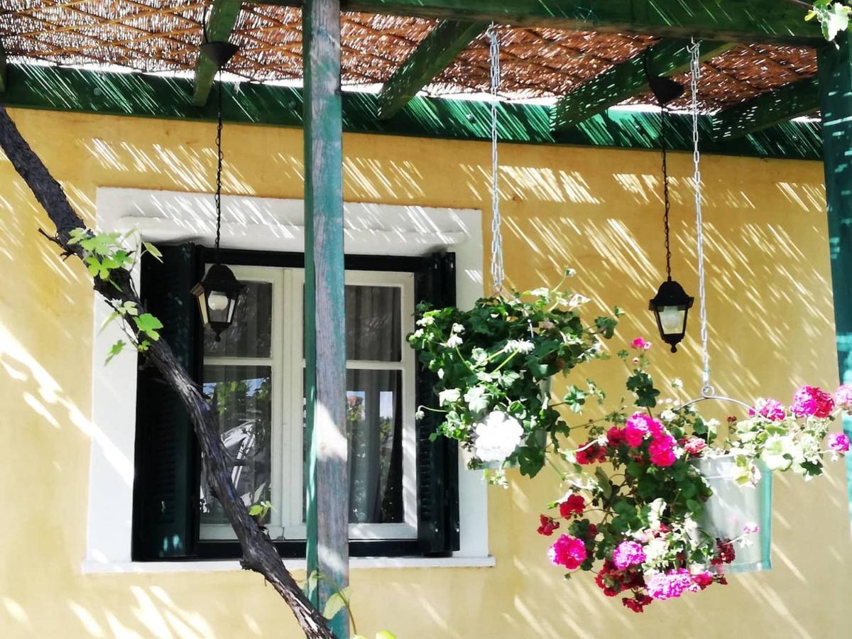 Case de vacanță Garden House In Corfu Corfu (city)