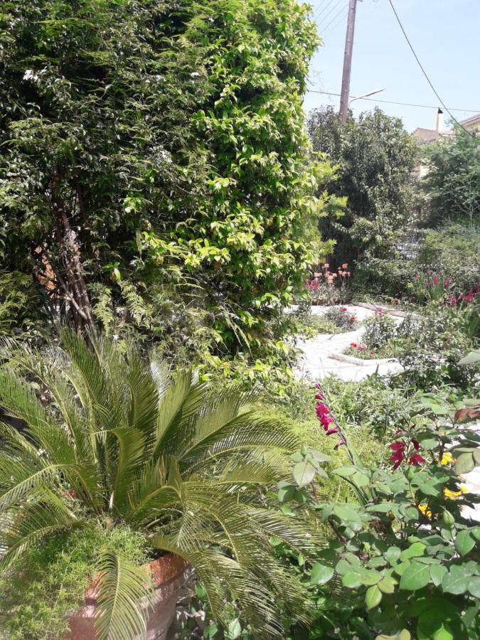 Garden House In Corfu * Corfu (city)